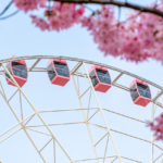 ferris wheel, sakura, flowers, blue sky, sharp photo, flower background, nature, pink, spring, tourist attraction, summer, outdoor activities, red, beautiful flowers, flower wallpaper, clean design, clear day, structure, sanitary environment, photography, travel, entertainment, colors, urban landscape